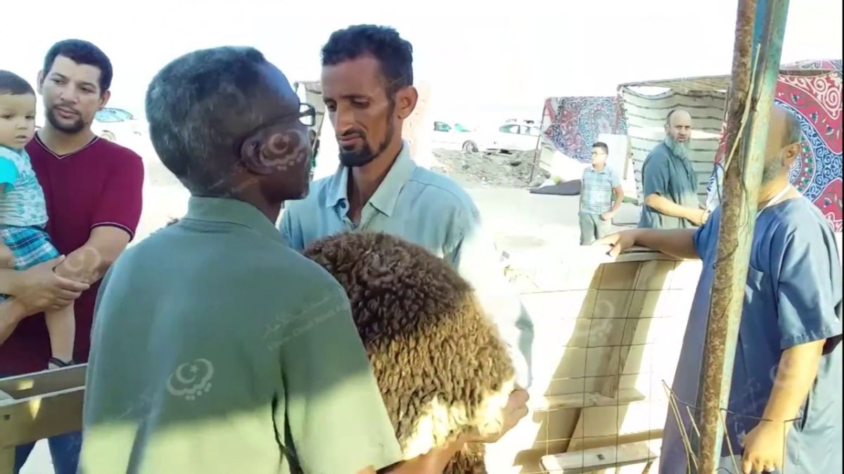 زوارة.. جمعية تجمع وتوزع الأضاحي على المحتاجين