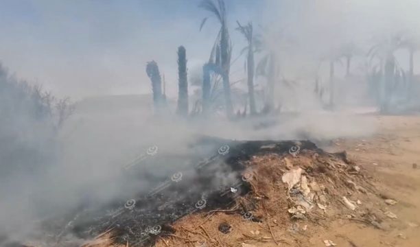 جامعة سبها تحتفل بجائزة التميز العلمي في موسمها الثاني