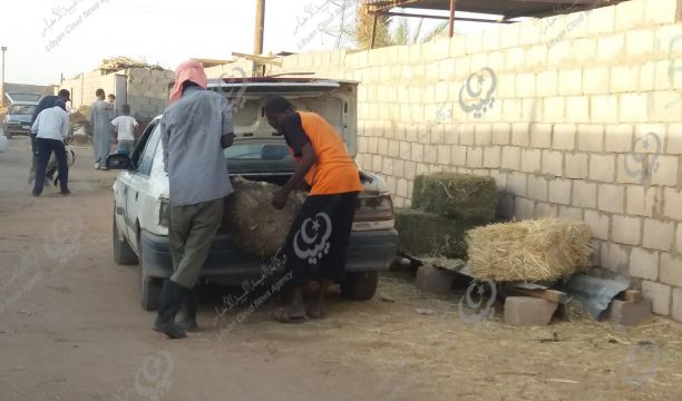 مدرب ليبي يجري دورة تدريبية للجاليات العربية في أوكرانيا