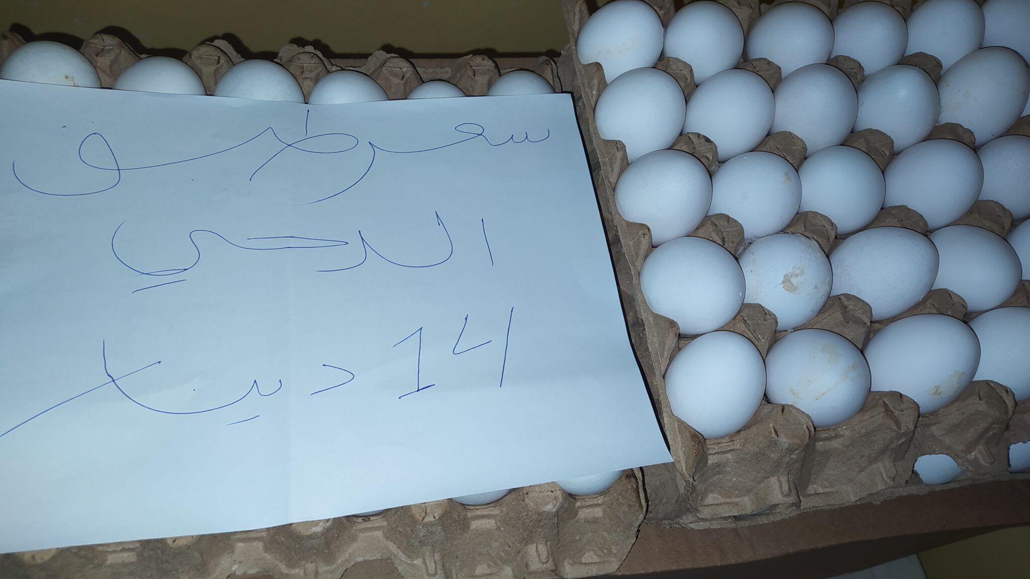 ارتفاع أسعار البيض في المحال التجارية بمصراتة مع اقتراب شهر رمضان