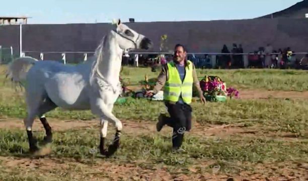 انطلاق منافسات الدوري الليبي لكرة القدم المصغرة بالمنطقه الثالثة