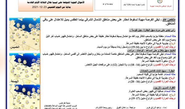 المنظمة العربية لحقوق الإنسان وفرعها في ليبيا تأسفان لتأجيل الانتخابات وتطالبان بوضع سقف زمني لإتمامها