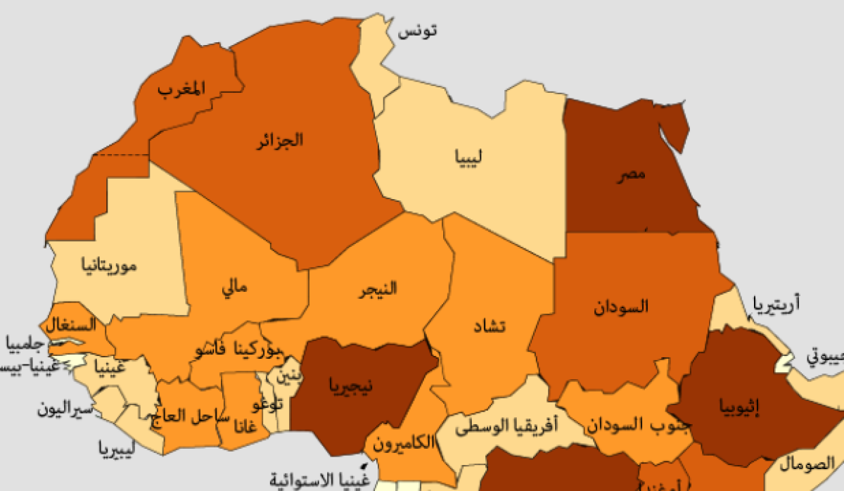 ليبيا والسودان والنيجر يصدرون بيانا مشتركا بشأن الأوضاع في تشاد