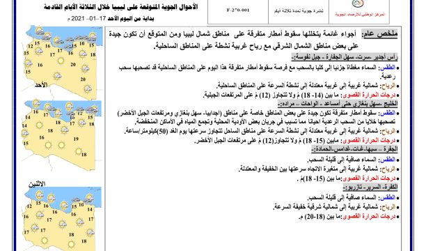 الهيئة العامة للشباب والرياضة تطلق حملة للتشجير بمدينة الخمس