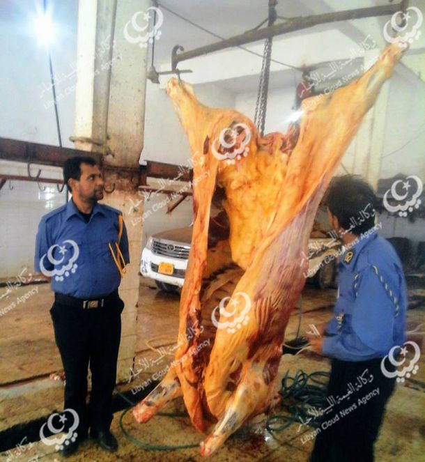 الشعر الليبي مصادره وقضاياه وأعلامه