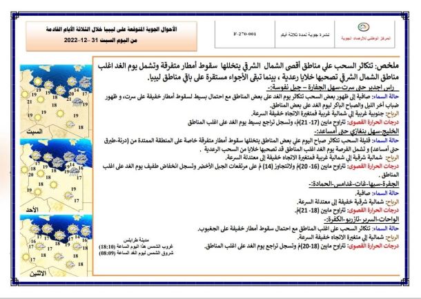 المنظمة العربية لحقوق الإنسان بليبيا تطالب بوضع سقف زمني لإجراء الانتخابات الرئاسية والبرلمانية
