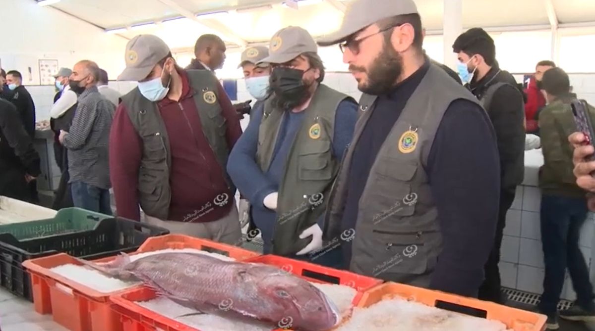 الإصحاح البيئي ينشأ نقطة داخل أسواق الجملة للأسماك