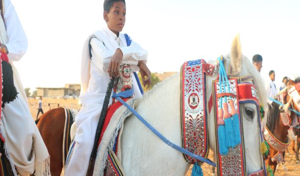 اجتماع لمناقشة حل إشكاليات قطاع الزراعة ببلدية مساعد