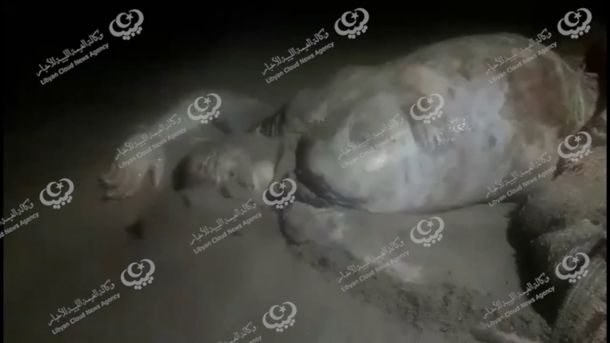 الشعر الليبي مصادره وقضاياه وأعلامه