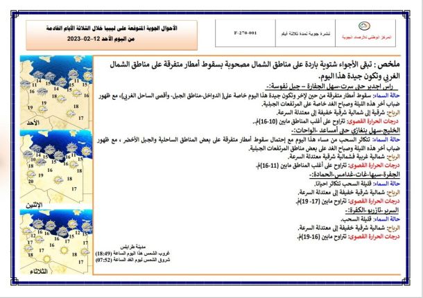 بلدية العربان تنتخب مجلسها البلدي وعدد المقترعين بلغ (77,7 %‎)