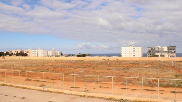 مزارعو مدينة إجخرة يلجؤون إلى حرق النخيل لمكافحة آفة الحشرة القشرية الخضراء