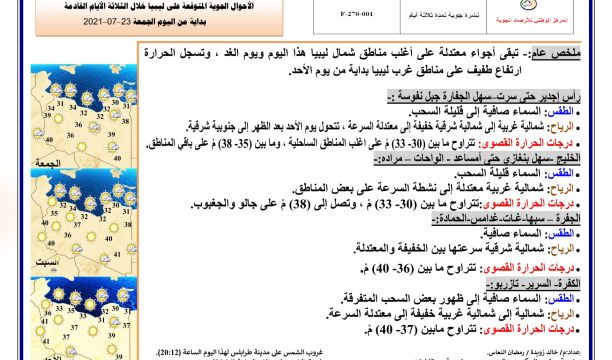 "الزبير" عامل أفريقي يحول نبات (الديس) الضار بالزراعة لمصدر رزق له ولرفاقه