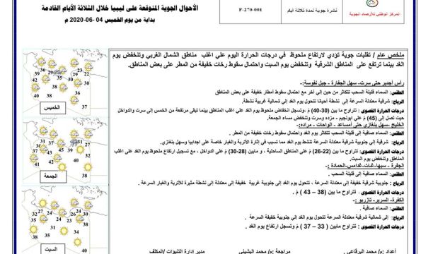 دور التفتيش الآلي في الكشف على البضائع والتحقق منها بالمنافذ