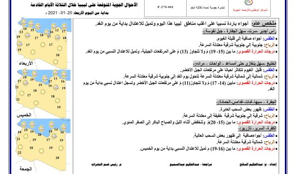 بحث تسوية ومعالجة مستندات (320) حالة ضمن الدفعة (191) من الازدواج الوظيفي