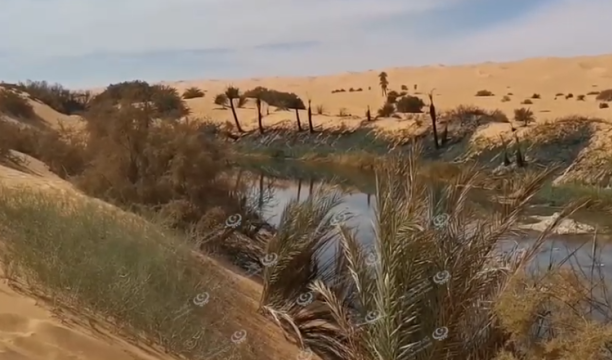 معاناة سكان محلة ابريك من ملوحة مياه الشرب في آبارها القديمة