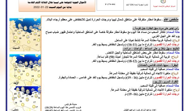 إنقاذ (91) مهاجراً غير شرعي من جنسيات أفريقية مختلفة من عرض البحر