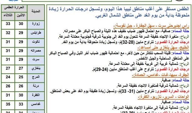 ورشة عمل في زليتن حول قانون الجرائم الإلكترونية