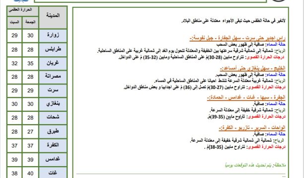 ورشة عمل طبية يقدمها الفريق الطبي الأسباني الزائر