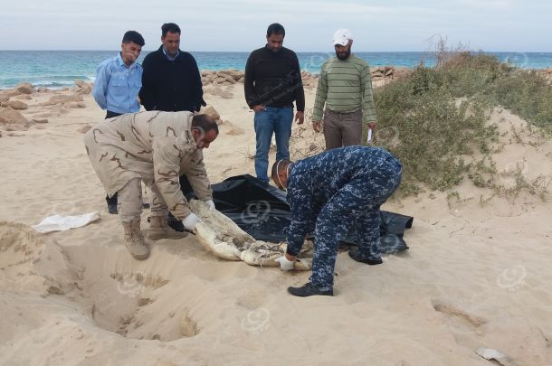 الخمس : اختتام مهرجان سبتيموس سيفروس للأفلام الوثائقية بمشاركة (59 ) فلماً