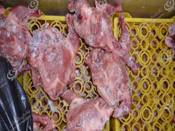 وقفة احتجاجية لعناصر طبية وطبية مساعدة