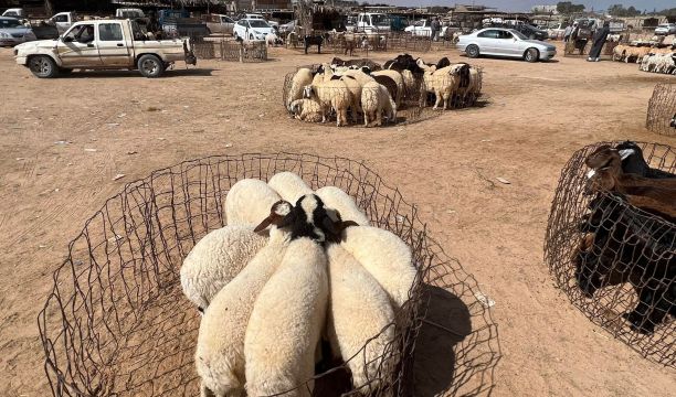 ورشة عمل حول حماية الطفل والدعم النفسي بغات