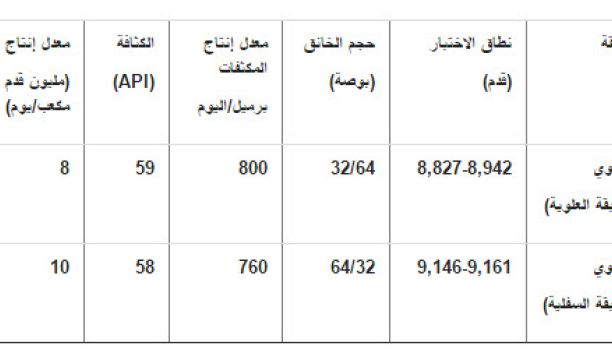 لجنة الوقود والغاز تقترح حلول لأزمتها