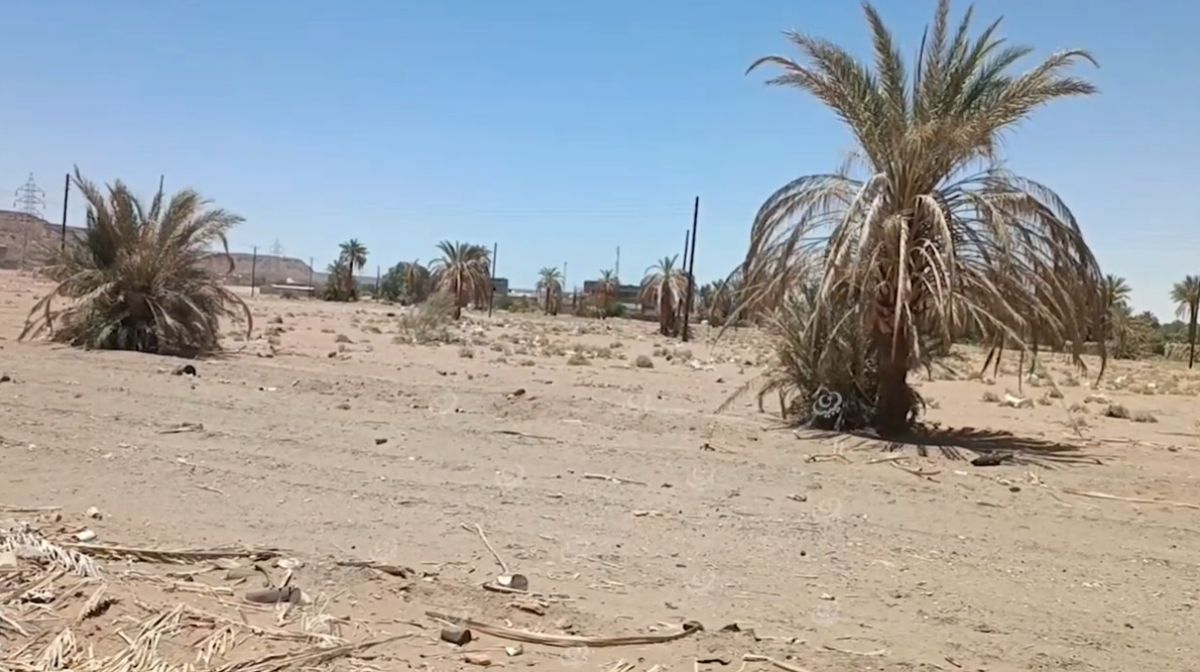 نقص الوقود وغياب الدعم يحول عديد البساتين بوادي الآجال لأراضي جرداء