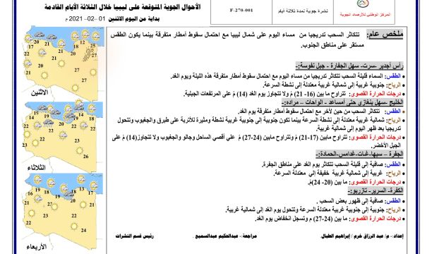 كلمة الممثلة الخاصة للأمين العام للأمم المتحدة في افتتاح اجتماع ملتقى الحوار السياسي الليبي بجنيف