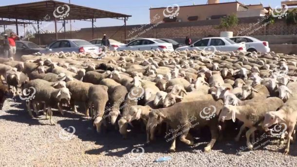 طبرق .. أكثر من ساحة لصلاة العيد