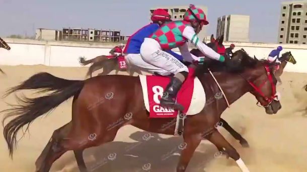 (300) عملية جراحية نفذت عبر البرنامج الوطني لجراحة القلب المفتوح