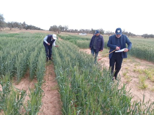 حملة للتبرع بالدم داخل الكليات والأقسام الجامعية في بنغازي
