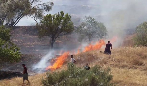 توزيع الدقيق على المخابز والشروع في توزيع السلع باجدابيا