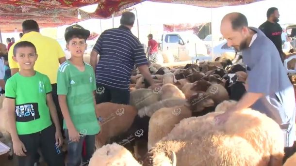 أعمال جمعية الصنوبر في المحافظة على البيئة وحمايتها