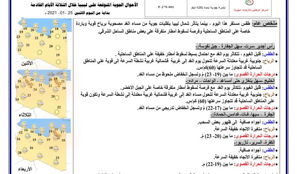 نائب وزير الخارجية الروسي : روسيا تتصرف في ليبيا بشفافية تامة ولديها اتصالات مع جميع القوى هناك