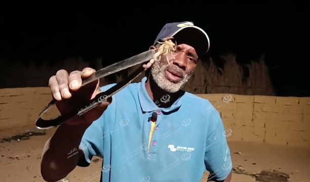 خبير صحراوي يصطاد العقارب السامة في مناطق بلديات وادي الآجال للتقليل من مخاطرها