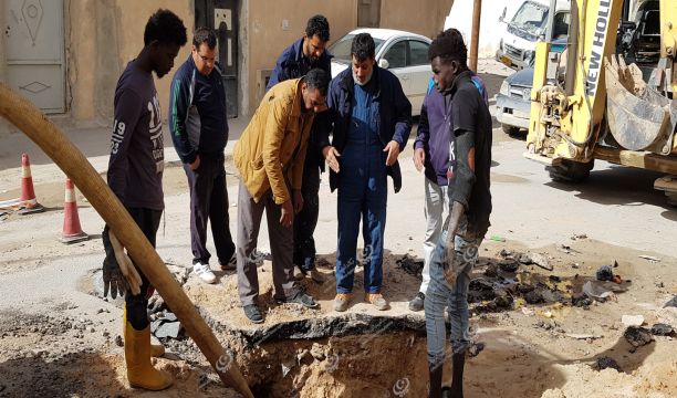 حملة تشجير في مدارس مدينة زوارة