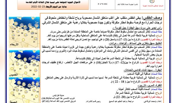 مركز البورد الألماني للاستشارات يختتم دورة تدريبية لذوي الهمم بجالو