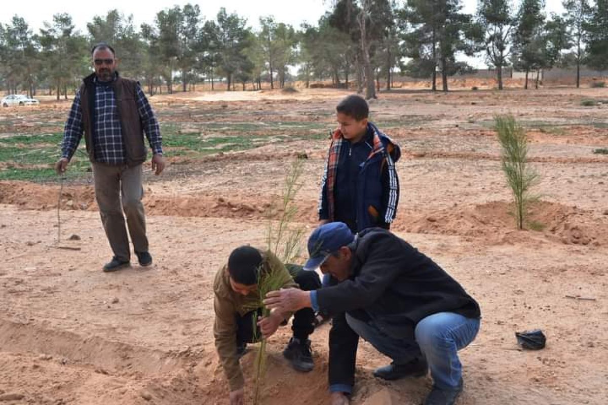 انطلاق حملة تشجير بغابة الدافنية مصراتة