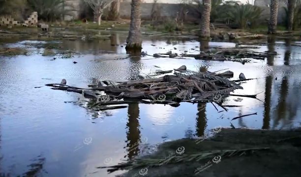 انطباعات لاعبي كرة اليد القدامى حول المشاركة الأفريقية للمنتخب 