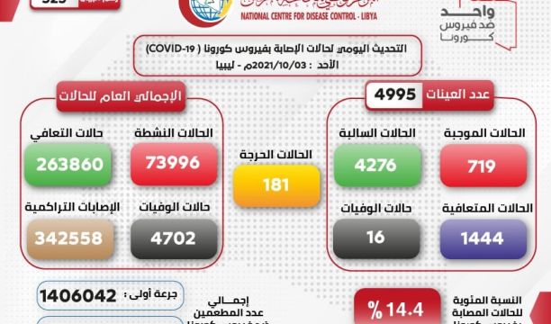 بعد رواجها.. إقبال أهالي مدينة البيضاء على تجارة الأسماك