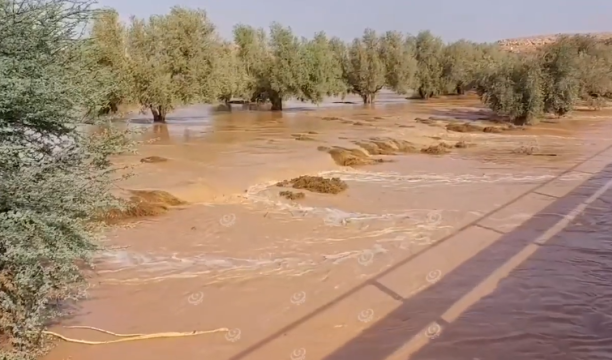 تسجيل رقم قياسي جديد في السباحة الحرة