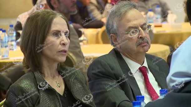 قرار بتشكيل مجلس إدارة جديد لمحفظة ليبيا أفريقيا للاستثمار