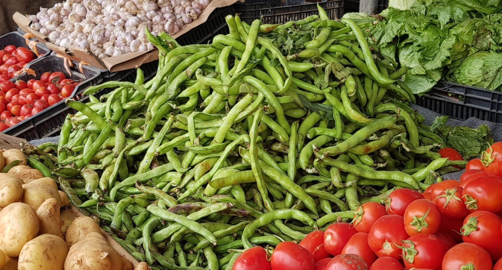 استقرار في أسعار الخضروات والفواكهة بمدينة اجدابيا