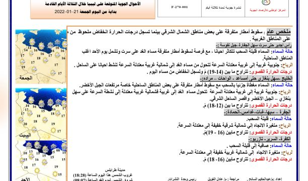 تعليمات من وزير الاقتصاد بالإفراج عن السيارات الموردة بالمخالفة للقرار رقم (359) لسنة 2021