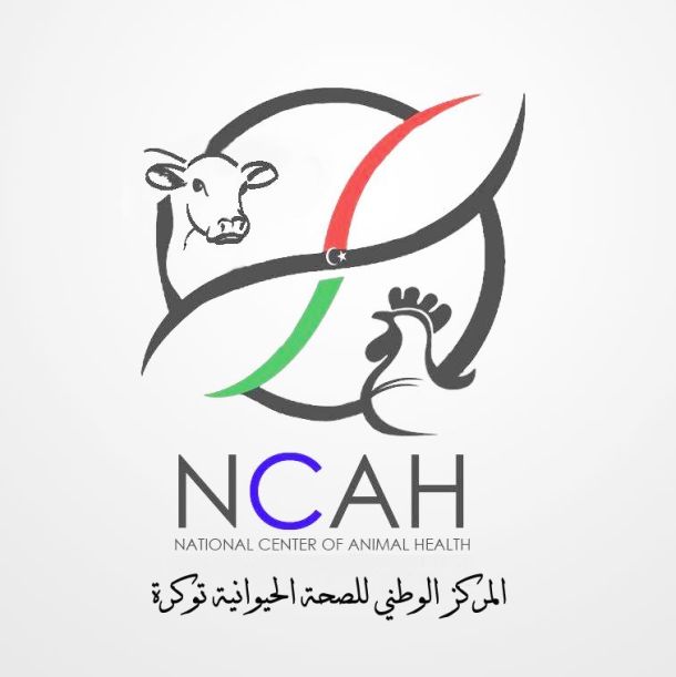 مسابقة لريادة الأعمال بين الجامعات الليبية