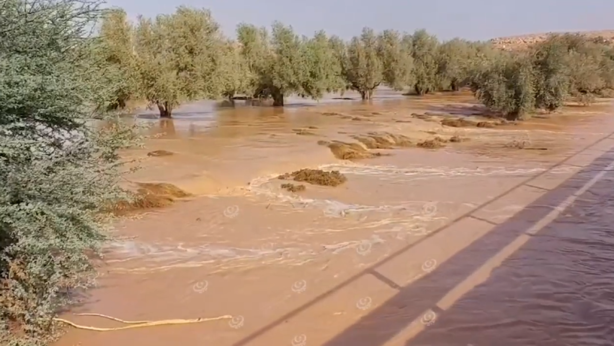 سيل وادي البلاد بمدينة بني وليد وسط استبشار المزارعون