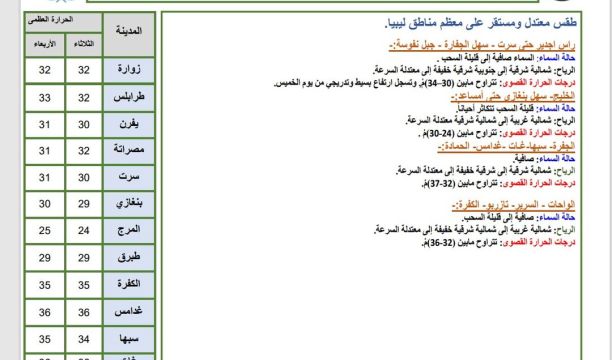 اختتام ورشة عمل لتوعية الإعلاميين في سبها حول فيروسات الإلتهاب الكبدي 