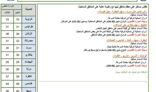 الإعلان عن نتائج انتخابات المجلس البلدي البيضاء