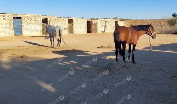 النشرة الجوية ليوم الإربعاء الموافق 28 – 09 – 2022 الصادرة عن المركز الوطني للأرصاد الجوية