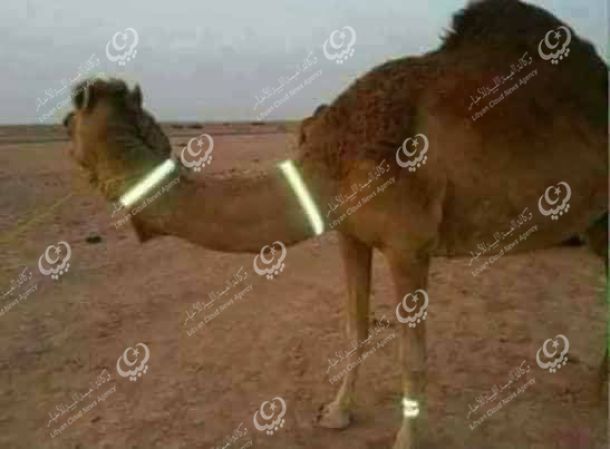 مؤتمر صحفي للمجلس البلدي طبرق